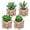 4pcs Succulents#06, variant on Mini Fake Plants 3 Packs Artificial Succulents Plants in Round Glass Vase Cute Faux Succulents for Bathroom Kitchens Shelf Table Decor