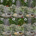 thumbnail image 3 of 2024 Solar Fountain Outdoor With 6 Nozzles Diy Design For Pond Garden_Perfect Gift, 3 of 3