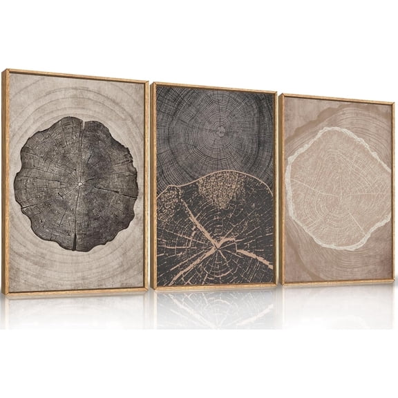 Beige Tree Ring Framed Canvas Wall Art Set, Neutral Modern Wood Stump Wall Decor,Vintage Abstract Tree Spiral Art Print,Nature Black and White Artwork for Living Room,Bedroom,Office- 16"x24"x3