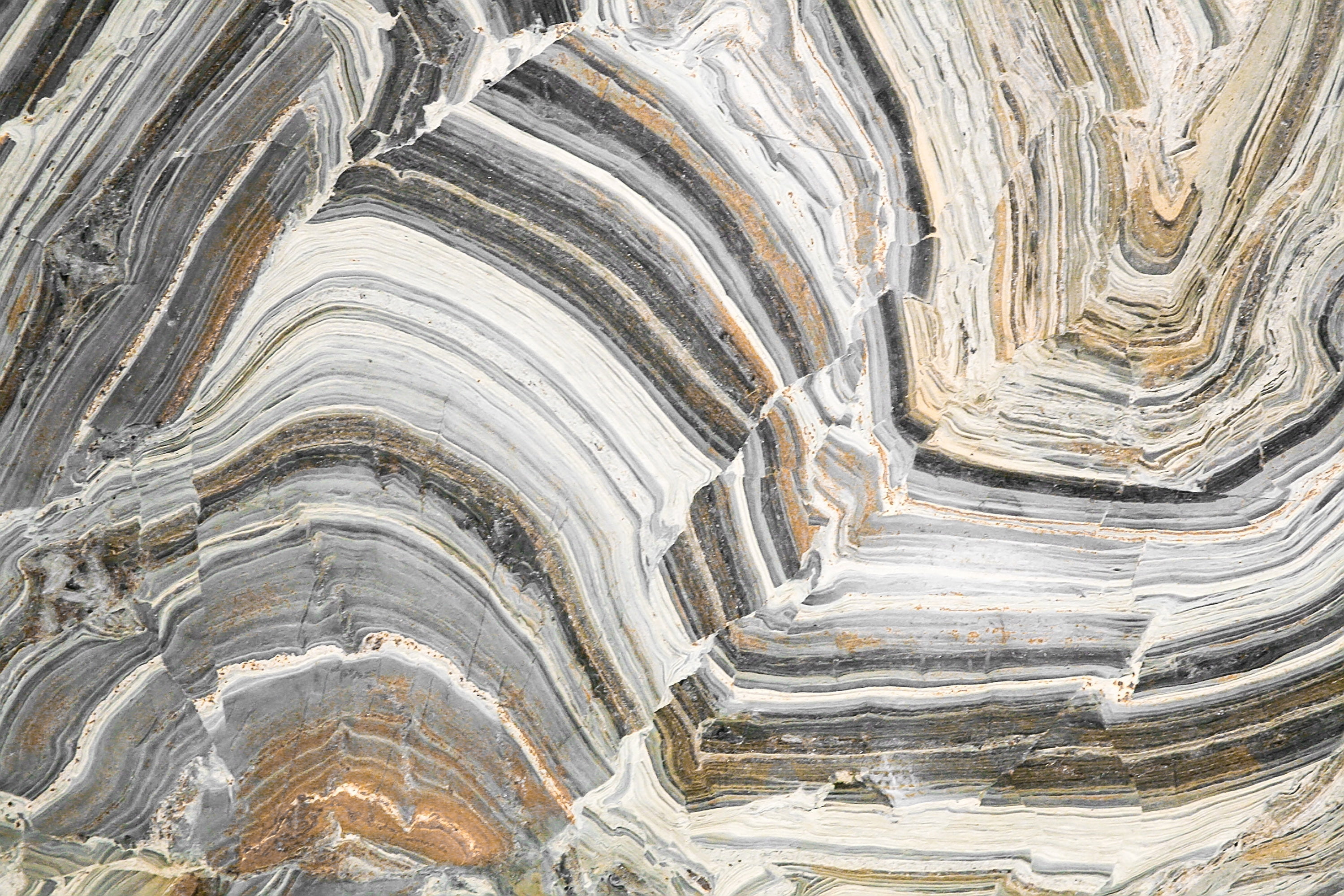 Marmont Hill 'Incarnation' Painting Print on Wrapped Canvas