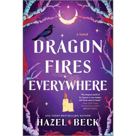 Pre-Owned Dragon Fires Everywhere: A Novel