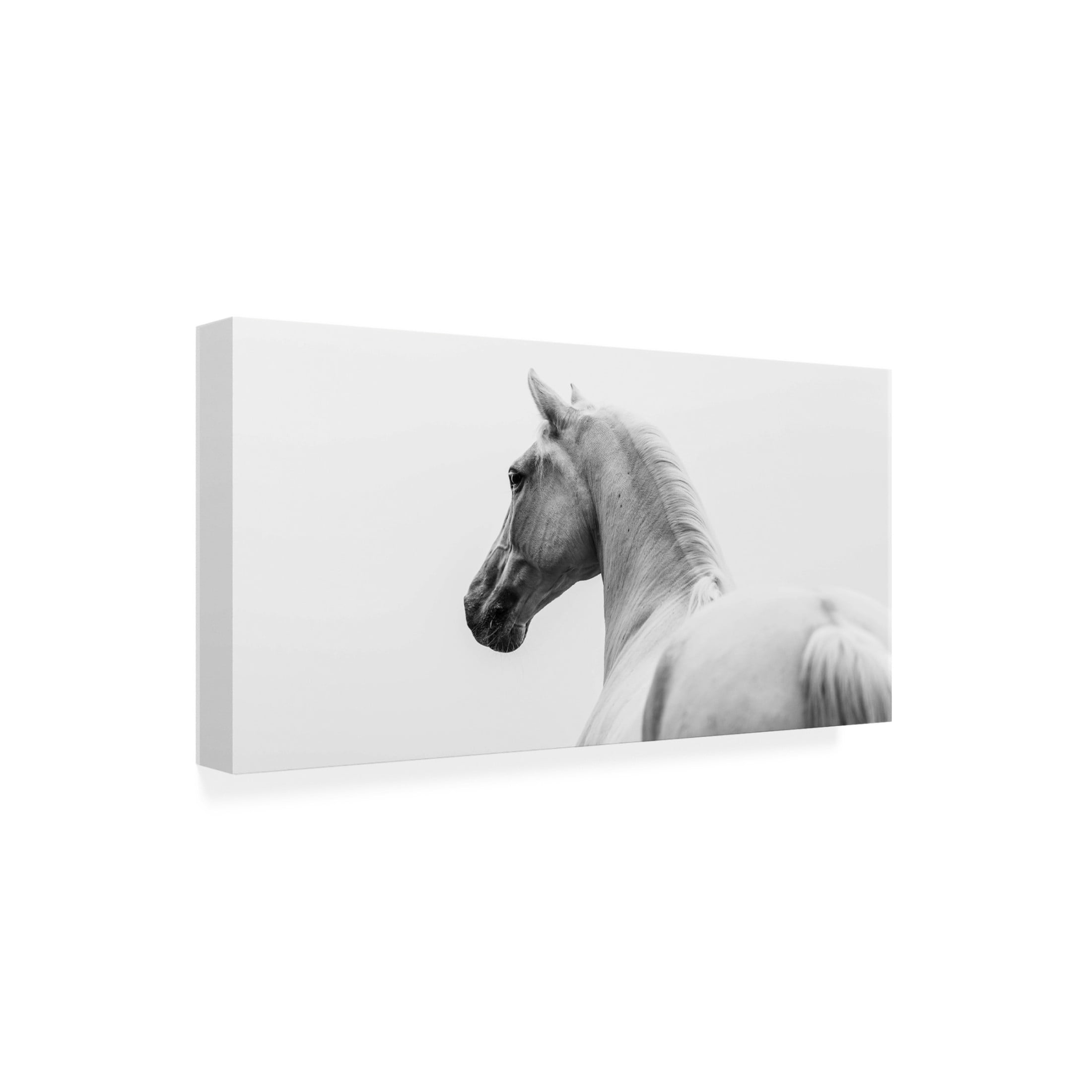 Trademark Fine Art Cembrzynski Ignacy a short story about a shorn horse Canvas Wall Art