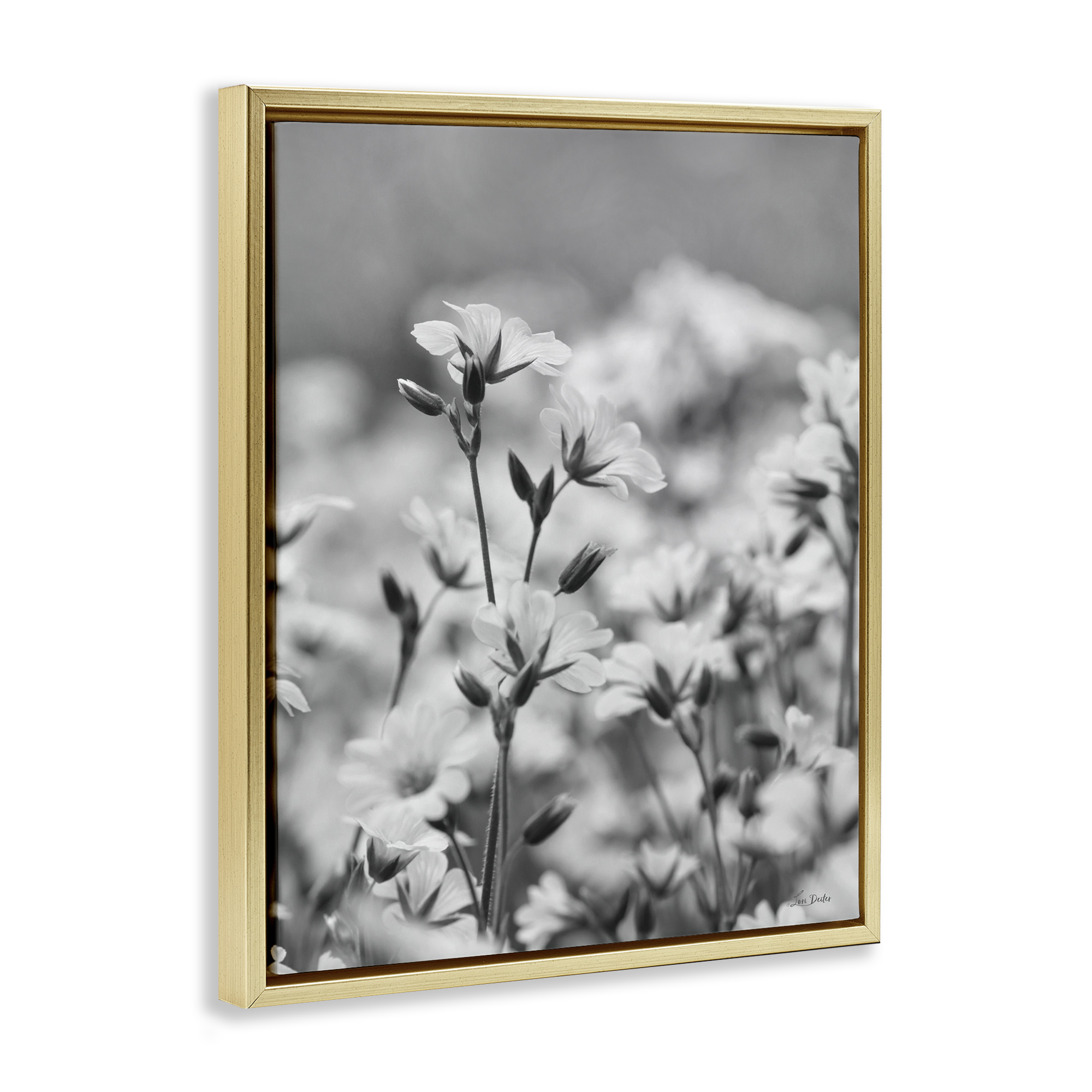 Stupell Industries Budding Meadow Flora Botanical & Floral Photography Gold Floater Framed Art Print Wall Art, 25 x 31