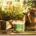 thumbnail image 4 of Yankee Candle Into The Garden Collection - Emerald Herbs - Thyme & Earthy Soil - Large 3-Wick Tumbler Candle, 4 of 4