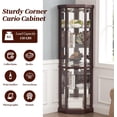thumbnail image 5 of Lighted Corner Curio Cabinet,Corner Display Cabinet with Tempered Glass Doors Mirrored Back Panel Adjustable Shelves,16.46" L X 16.46" W X 69.84" H(Dark Cherry), 5 of 7