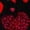 Multicolor-1, variant on Valentines Day Sweatpants for Women High Waisted Valentine's Heart Graphic Gym Workout Pants Plus Size Joggers