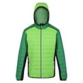 thumbnail image 1 of Regatta Mens Trutton II Baffled Padded Jacket, 1 of 7