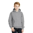 thumbnail image 2 of Artix - Big Boys Hoodies and Sweatshirts, up to Big Boys Size 24 - Tigers, 2 of 5