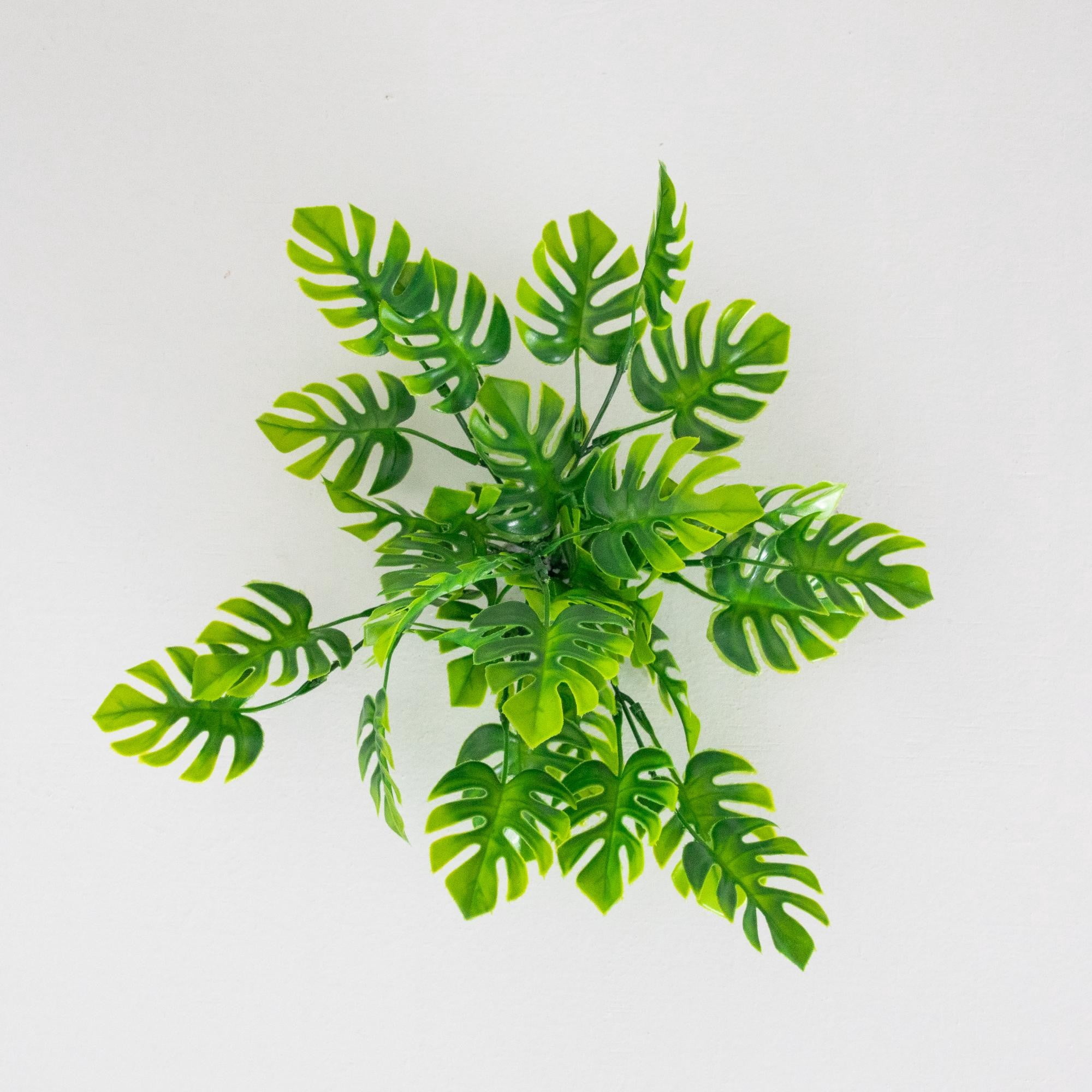 13in. Artificial Mini Monstera Bush - Set of 6