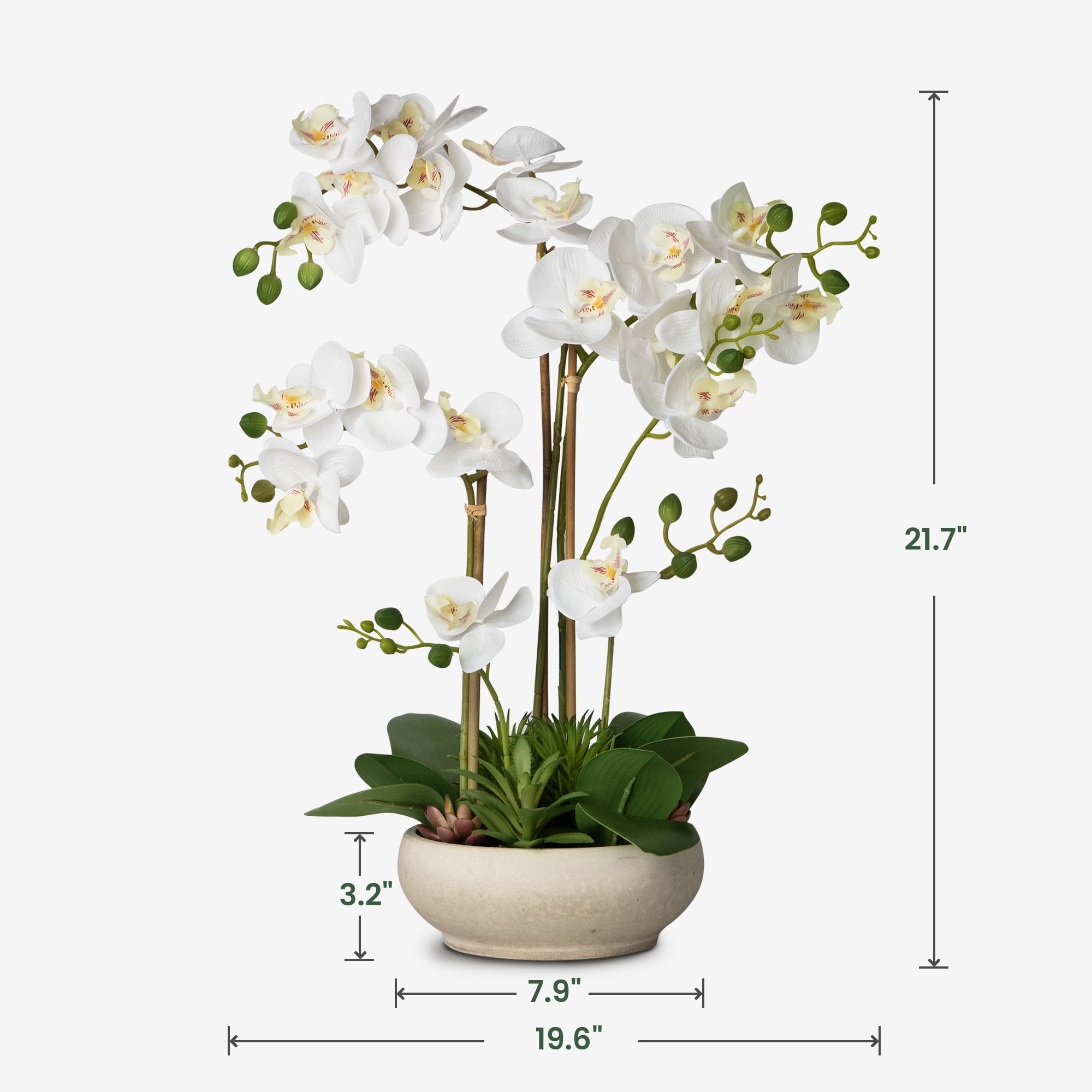 INNVELLO Artificial Orchid Flowers Potted in Ceramic Potfor Home Decor Indoor