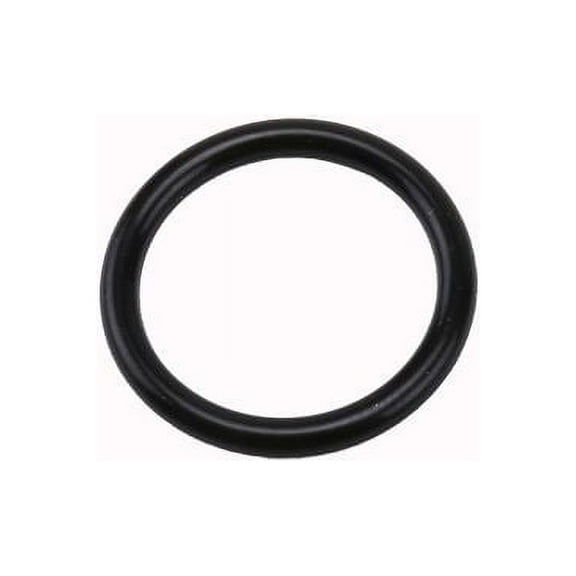GM Genuine Parts Crankcase Seal