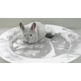 thumbnail image 4 of Lixit Animal Care Products LI00605 Chinchilla Blue Cloud Dust, 3. 4 lbs., 4 of 6