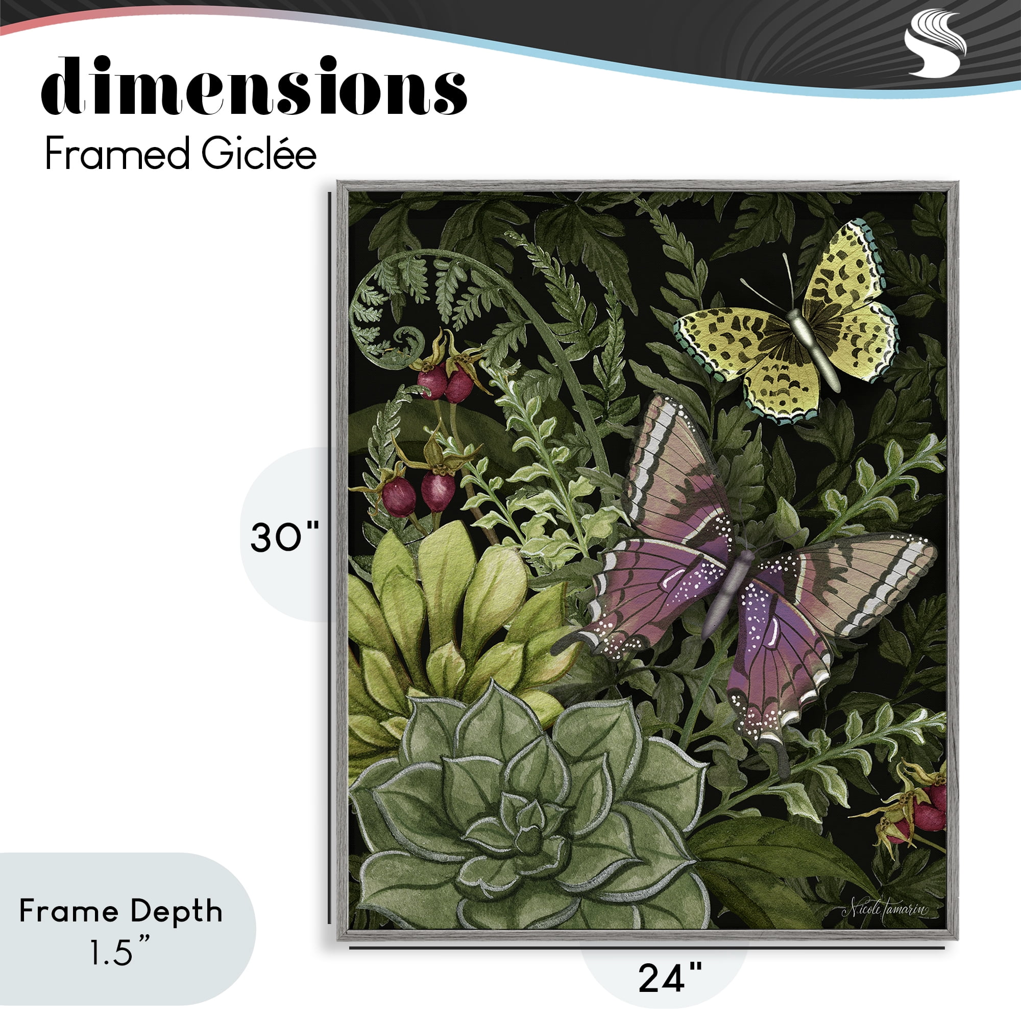 Stupell Industries Dark Succulents Midnight Garden Gray Framed Giclee Art, design by Nicole Tamarin