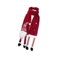 thumbnail image 1 of Bufanda de invierno,Bufanda decorativa de enano navideño para mujer Bufanda decorativa para hombre,Bufanda de invierno,bufanda cálida de moda,chales largos, 1 of 8