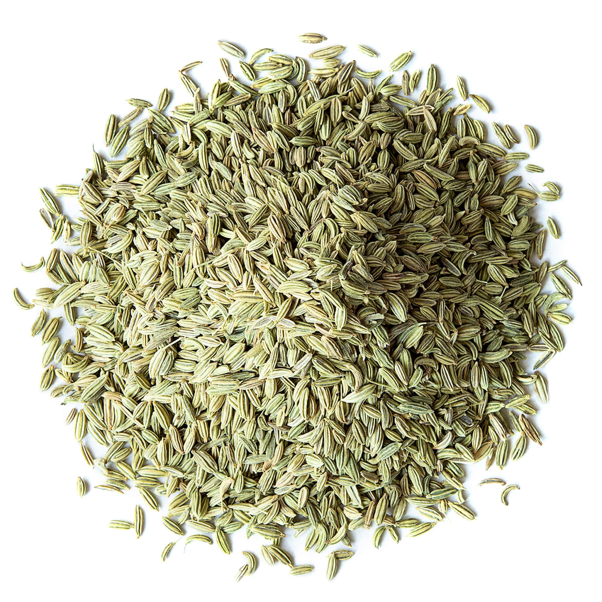 Organic Fennel Seeds, 3 Pounds — Whole, Non-GMO, Kosher, Vegan, Bulk - Food to Live