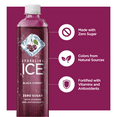 Sparkling Ice® Naturally Flavored Sparkling Water, Black Cherry 17 Fl