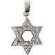 thumbnail image 1 of JOYARIS Dije Medalla Estrella De David Lisa Zirconias En Plata 925 DM-0000526, 1 of 3
