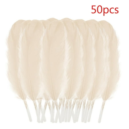 

Feiboyy 50 Pcs Colourful Plumage For Wedding Party Flower Arrangement Home Decoration Diy Middle Floating Plume For Hair Cat Stick Clothing Craft Decoration Plumage