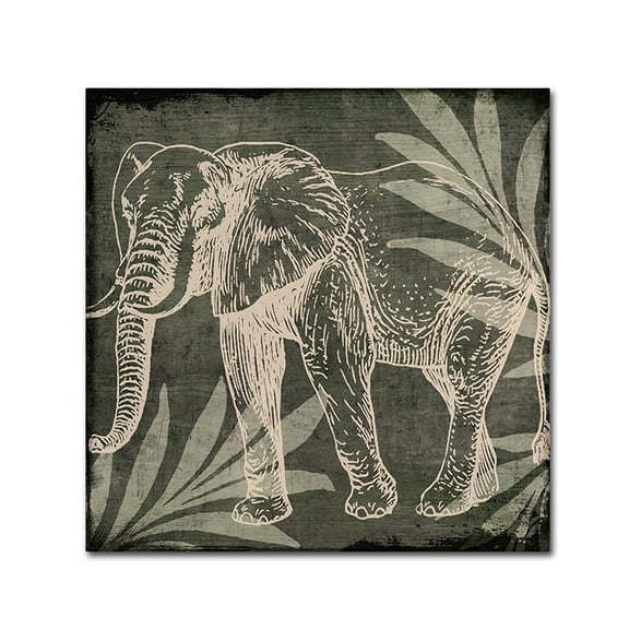 Trademark Fine Art "Elephant 1" Canvas Art by Color Bakery
