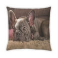 thumbnail image 2 of Ahgly Company Dogs Bulldog Coussin Extérieur, 18 Pouces par 18 Pouces, 2 of 6