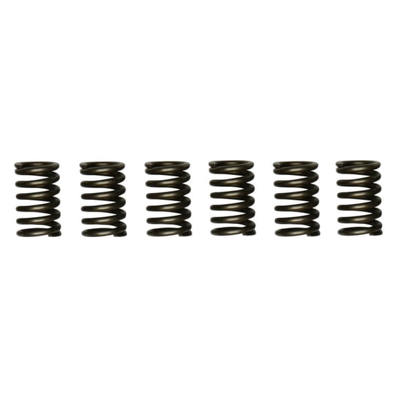 EBC CSK Series Heavy Duty Clutch Spring Kit