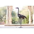 thumbnail image 4 of De Kulture Handcrafted Recycled Iron Ostrich Decorative Collectible Figurine Showpiece, 12X4X20 (LWH) inches, 4 of 4