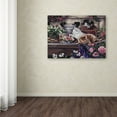 thumbnail image 3 of Playful Kittens' Canvas Art by Jenny Newland, 3 of 3