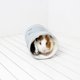 thumbnail image 3 of Juguete de túnel para animales pequeños, cama de túnel para hámster, cama cálida con tubo de túnel para hámster, solución innovadora, 3 of 5