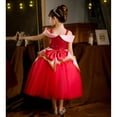 thumbnail image 3 of Girls Fancy Princess Costume Pink Halloween Birthday Cosplay Pageant Party Outfits, 3 of 6