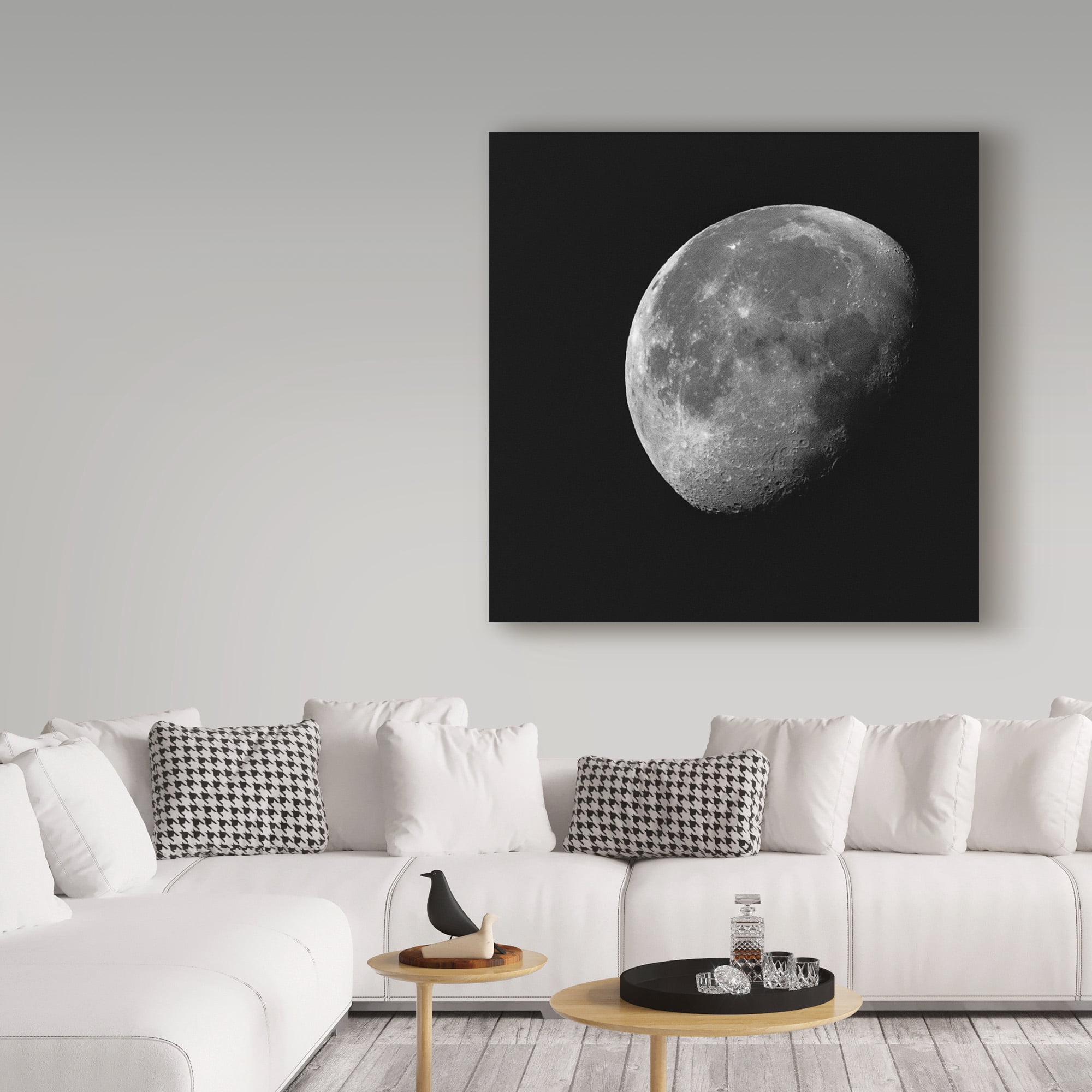 Trademark Fine Art 'Near Side Of The Moon' Canvas Art by Brenda Petrella Photography Llc