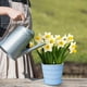 thumbnail image 5 of Colourful Plastic Flower Pot Succulent Flowerpot Home Office Decor, 5 of 6