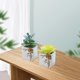 thumbnail image 3 of 2 uds flores falsas simulación suculentas bonsái plantas verdes artificiales adornos creativos, 3 of 5