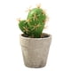 thumbnail image 1 of Mini planta de cactus artificial en maceta, decoración interior creativa, pequeña flor de simulación, 1 of 5