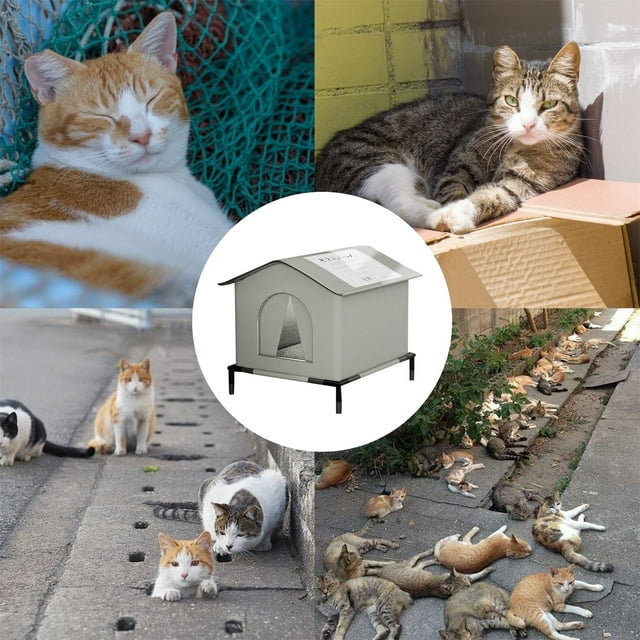 Abri pour Chat Extérieur, Chaud pour l'Hiver, Lavable, pour Chien Élevé