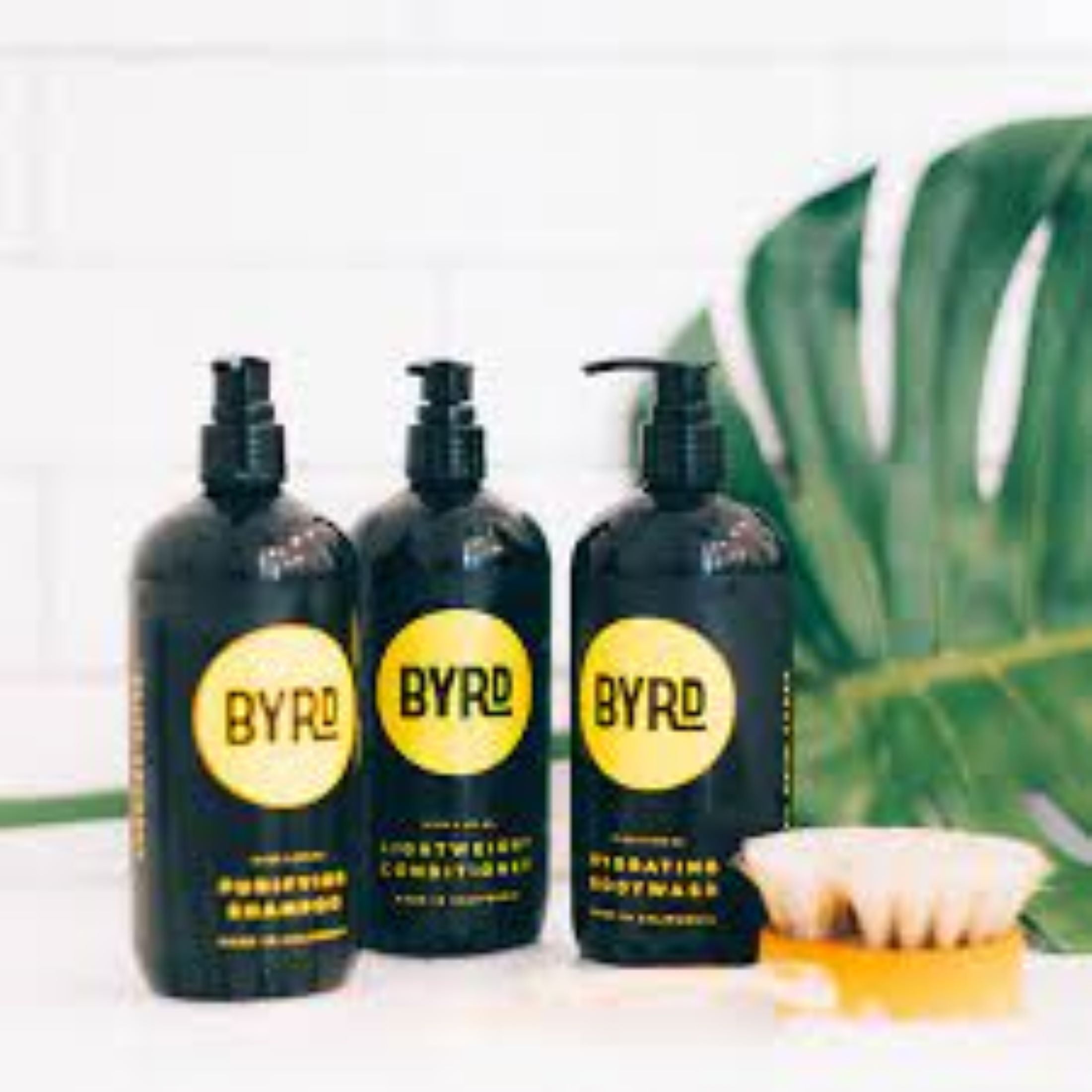 (3 pack) Byrd Lightweight Conditioner Pump Bottle- 16 oz