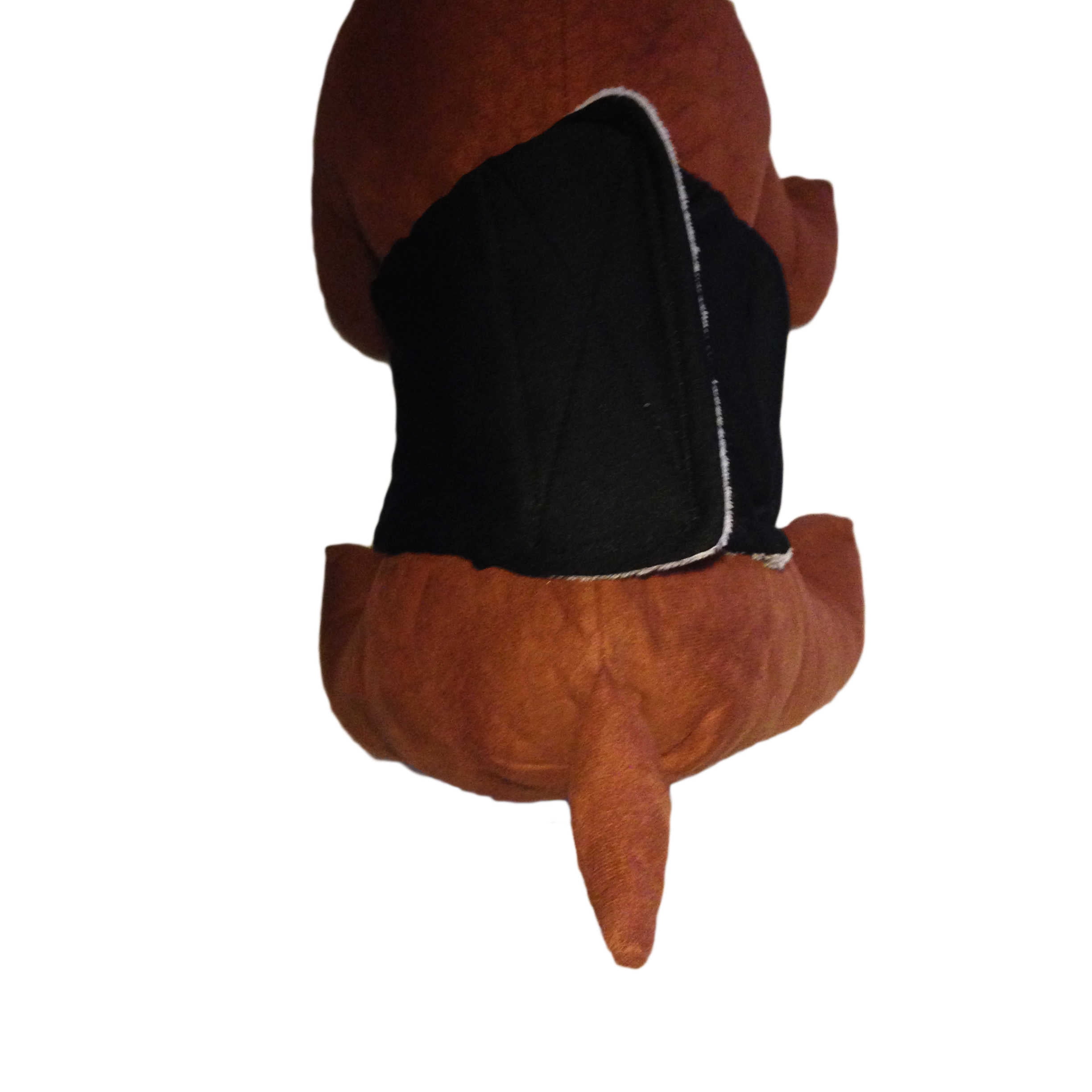 Barkertime Midnight Mystique Dog Belly Band Male Wrap