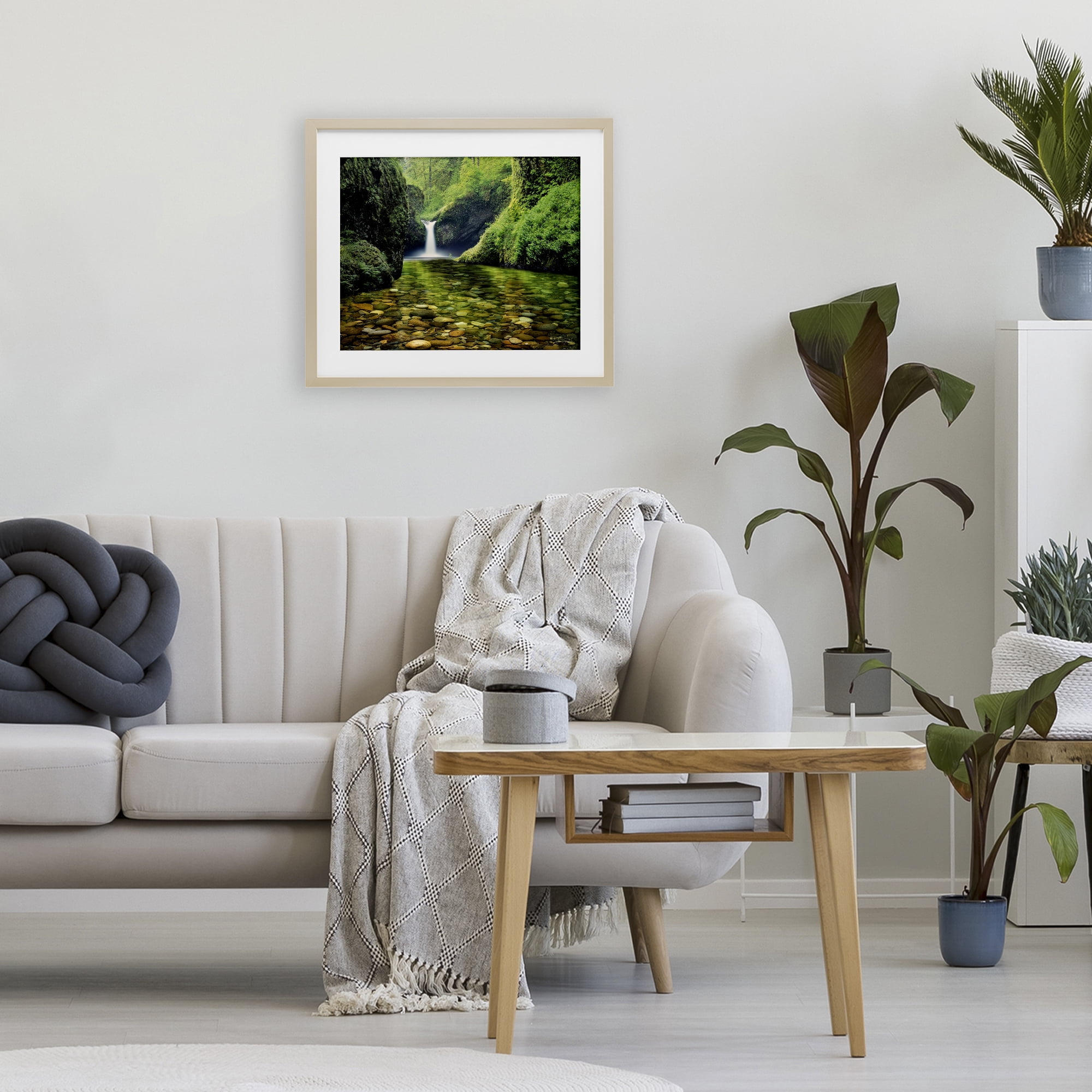 Stupell Industries Punchbowl Falls in Emerald Forest Birch Framed Print Under Glass, design by Dennis Frates
