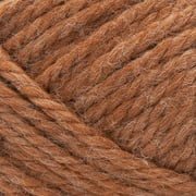 Lion Brand Yarn Re spun T&Q Cider 843-125V Recycled Super Bulky 223yd 12oz Yarn