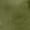 Army Green, variant on Women's Fleece Pullover Sweatshirt Dress Crewneck Casual Solid Color Long Sleeve Bodycon Mini Sweater Dress