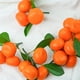 thumbnail image 4 of 9 Piezas de Simulación de Frutas Naranjas Falsas con Ramas Mandarina Mandarina Cadena 3/6 Cabezas Satsuma Mandarina 3 Cabezas + 6 Cabezas Mandarina Cada Cadena ANGGREK  Otros, 4 of 8