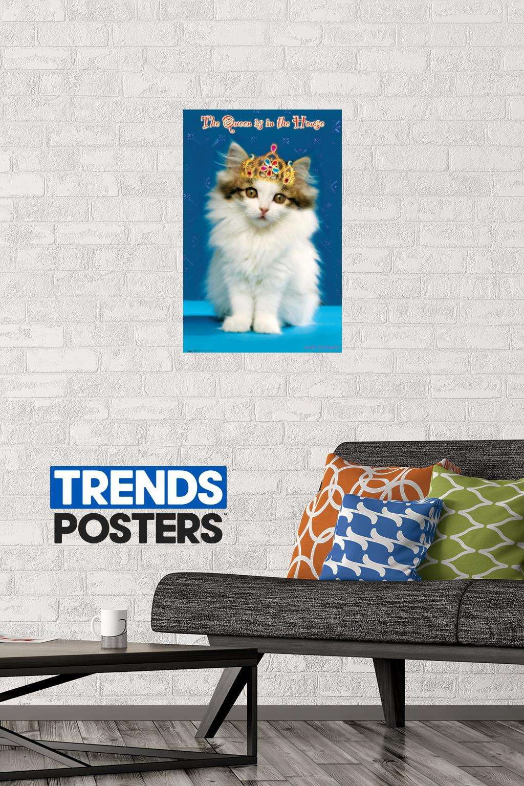 Keith Kimberlin - Kitten - Queen Wall Poster, 14.725" x 22.375"