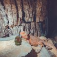 thumbnail image 4 of unbranded Terrario Para Reptiles Con Cueva Transparente Para Hábitat, 4 of 6