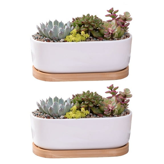 JZROCKER 2pcs Succulent Planter Ceramic Flower with Tray Drainage Holes for Indoor Outdoor Decoration