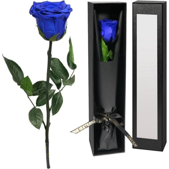 MixMart Preserved Flowers Gifts for Women, Preserved Flowers Rose Gifts, Rose Flowers with Gift Box for Valentine's Day, Mother's Day, Anniversary, Birthday