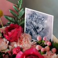 thumbnail image 3 of 3drose, Wolf Head Watercolor Painting, 1 Greeting Card with Envelope, 3 of 6