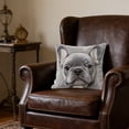 thumbnail image 4 of ddioayh Throw Pillow Cover Animal Print Soft Machine Washable 45x45cm for Sofa Chair Bedroom Home Decor Spring Easter Pet Theme Decorative Gift Idea, 4 of 6