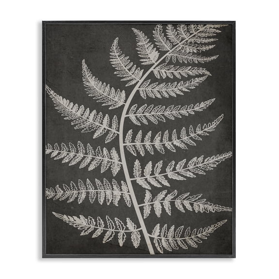 Stupell Industries Transitional Woodland Fern Outline Black Framed Giclee Art, 16 x 20, by Ros Ruseva