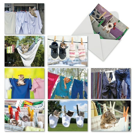 M6474OCB HANG IN THERE' 10 Assorted All Occasions Greeting Cards Featuring Adorable Cats and Kittens Playing in Freshly Laundered Apparel Hanging From Clotheslines with Envelopes by The Best Card (Best Clothesline From Hell)