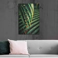 thumbnail image 6 of Luxe Metal Art 'Beauty Amongst Palms 2' by Ashley Aldridge Metal Wall Art, 24"x36", 6 of 7