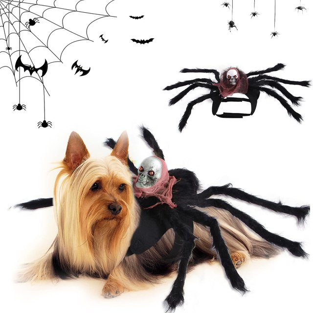 Disfraz de araña de Halloween para perros, disfraz de Halloween para mascotas, disfraz de araña para perros y gatos, disfraz de Halloween para perros y gatos, decoración de Halloween (